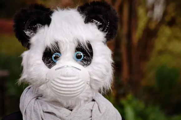 سبينشيك كازينو الدعم